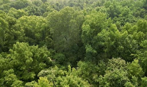 Photo #19 of SOLD property in Off Dixon Rd, Chocowinity, NC 8.3 acres