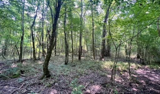 Photo #20 of SOLD property in Off Dixon Rd, Chocowinity, NC 8.3 acres