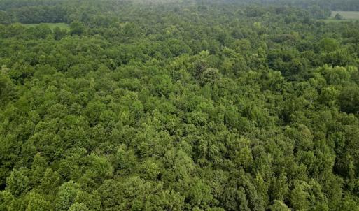 Photo #4 of SOLD property in Off Dixon Rd, Chocowinity, NC 8.3 acres