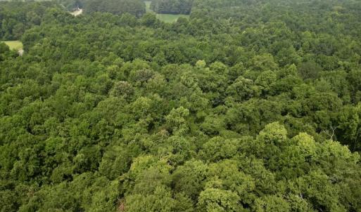 Photo #5 of SOLD property in Off Dixon Rd, Chocowinity, NC 8.3 acres