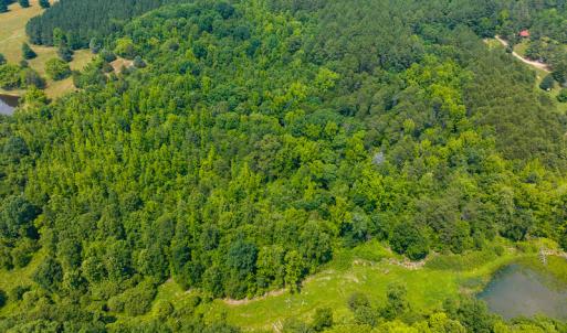 Photo #4 of SOLD property in Off Waterside Drive, Yanceyville, NC 11.5 acres
