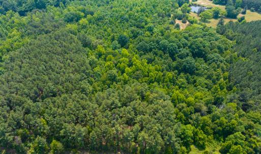 Photo #9 of SOLD property in Off Waterside Drive, Yanceyville, NC 11.5 acres