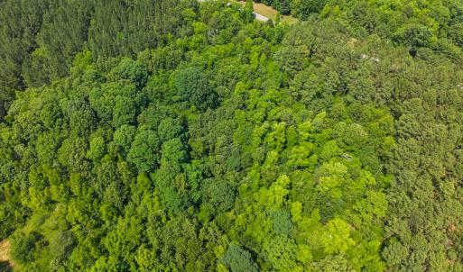 Photo #16 of SOLD property in Off Waterside Drive, Yanceyville, NC 11.5 acres