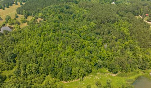 Photo #21 of SOLD property in Off Waterside Drive, Yanceyville, NC 11.5 acres