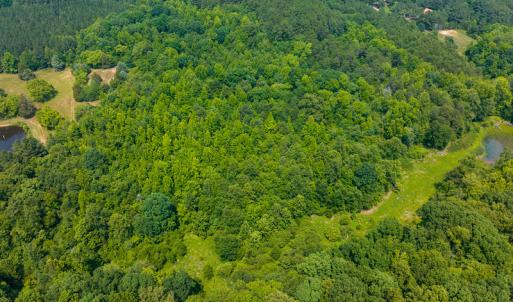 Photo #22 of SOLD property in Off Waterside Drive, Yanceyville, NC 11.5 acres