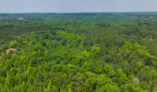Photo #26 of SOLD property in Off Waterside Drive, Yanceyville, NC 11.5 acres