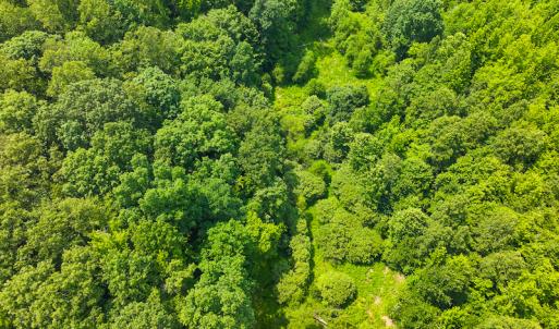 Photo #31 of SOLD property in Off Waterside Drive, Yanceyville, NC 11.5 acres