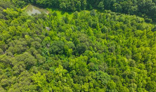 Photo #32 of SOLD property in Off Waterside Drive, Yanceyville, NC 11.5 acres
