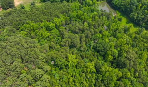 Photo #33 of SOLD property in Off Waterside Drive, Yanceyville, NC 11.5 acres