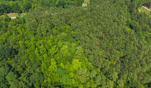 Photo #34 of SOLD property in Off Waterside Drive, Yanceyville, NC 11.5 acres