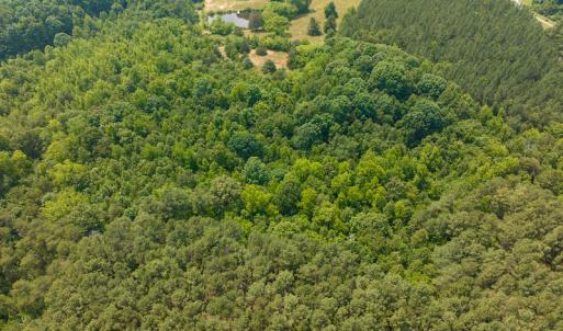 Photo #36 of SOLD property in Off Waterside Drive, Yanceyville, NC 11.5 acres
