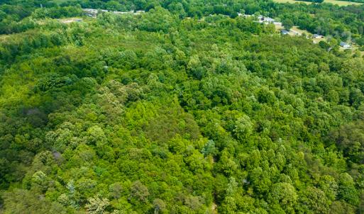 Photo #4 of SOLD property in Off Green Level Loop & Otter Creek Trail, Burlington, NC 31.5 acres