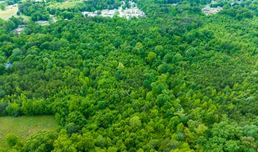 Photo #7 of SOLD property in Off Green Level Loop & Otter Creek Trail, Burlington, NC 31.5 acres