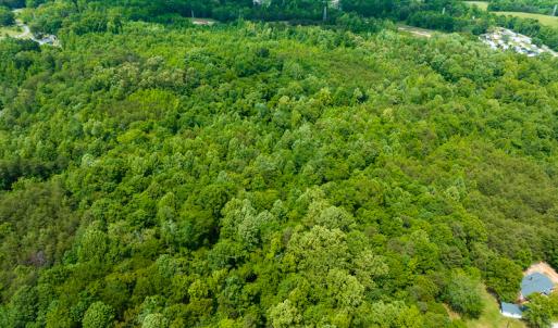 Photo #8 of SOLD property in Off Green Level Loop & Otter Creek Trail, Burlington, NC 31.5 acres