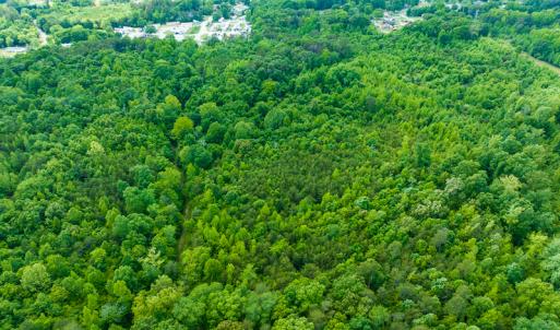 Photo #11 of SOLD property in Off Green Level Loop & Otter Creek Trail, Burlington, NC 31.5 acres