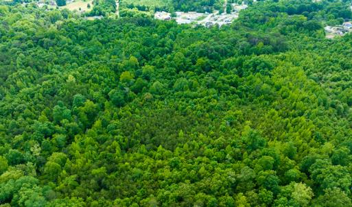 Photo #13 of SOLD property in Off Green Level Loop & Otter Creek Trail, Burlington, NC 31.5 acres