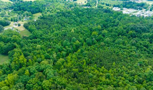 Photo #16 of SOLD property in Off Green Level Loop & Otter Creek Trail, Burlington, NC 31.5 acres