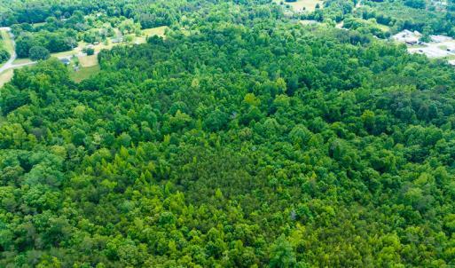 Photo #19 of SOLD property in Off Green Level Loop & Otter Creek Trail, Burlington, NC 31.5 acres