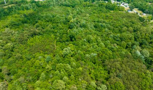 Photo #25 of SOLD property in Off Green Level Loop & Otter Creek Trail, Burlington, NC 31.5 acres