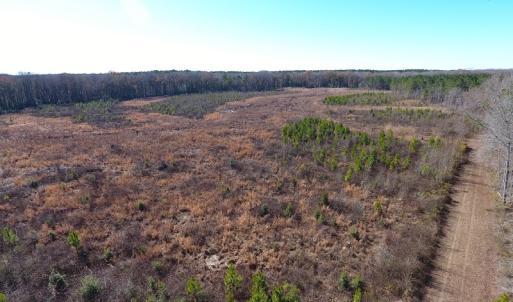 Photo #2 of Off Garland Highway, Garland, NC 278.0 acres