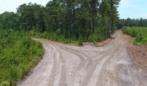 Photo #11 of Off Garland Highway, Garland, NC 278.0 acres