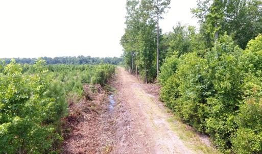 Photo #13 of Off Garland Highway, Garland, NC 278.0 acres