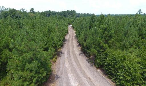 Photo #16 of Off Garland Highway, Garland, NC 278.0 acres