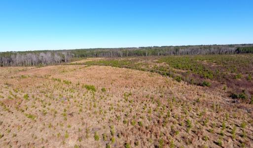 Photo #17 of Off Garland Highway, Garland, NC 278.0 acres