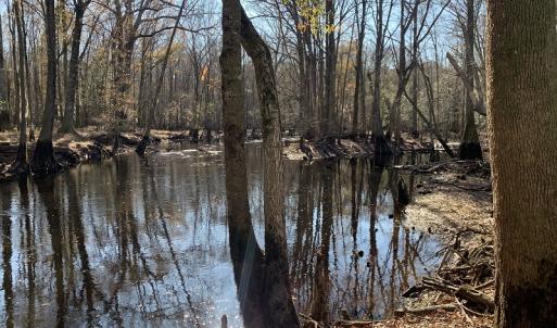Photo #18 of Off Garland Highway, Garland, NC 278.0 acres