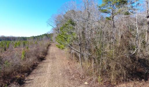 Photo #19 of Off Garland Highway, Garland, NC 278.0 acres