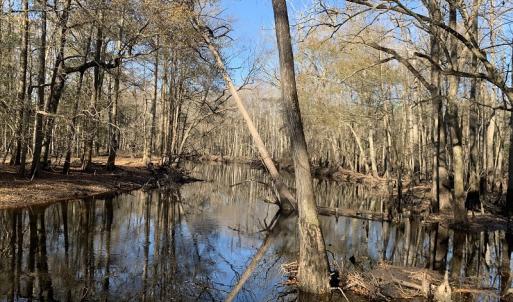Photo #20 of Off Garland Highway, Garland, NC 278.0 acres