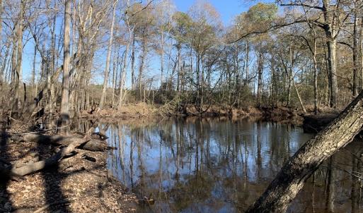Photo #3 of Off Garland Highway, Garland, NC 278.0 acres