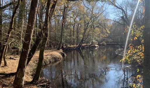 Photo #21 of Off Garland Highway, Garland, NC 278.0 acres