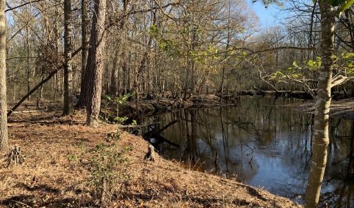 Photo #22 of Off Garland Highway, Garland, NC 278.0 acres