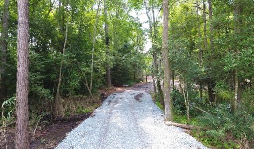 Photo #23 of Off Garland Highway, Garland, NC 278.0 acres