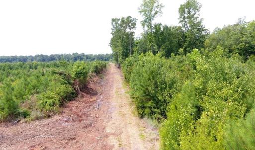 Photo #24 of Off Garland Highway, Garland, NC 278.0 acres