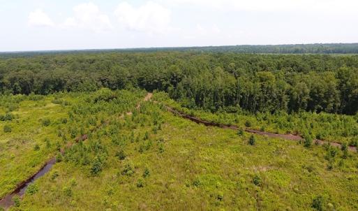 Photo #25 of Off Garland Highway, Garland, NC 278.0 acres