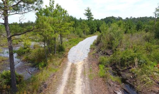 Photo #28 of Off Garland Highway, Garland, NC 278.0 acres