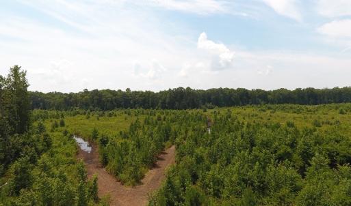 Photo #30 of Off Garland Highway, Garland, NC 278.0 acres