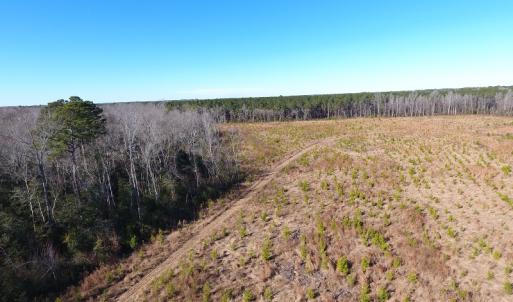 Photo #4 of Off Garland Highway, Garland, NC 278.0 acres