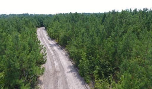 Photo #31 of Off Garland Highway, Garland, NC 278.0 acres