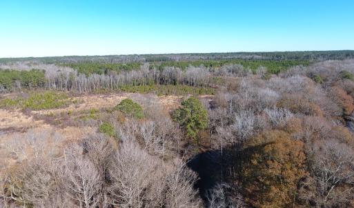 Photo #32 of Off Garland Highway, Garland, NC 278.0 acres