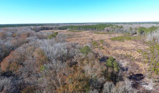 Photo #33 of Off Garland Highway, Garland, NC 278.0 acres
