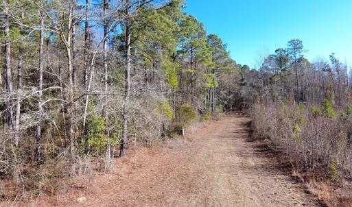 Photo #5 of Off Garland Highway, Garland, NC 278.0 acres