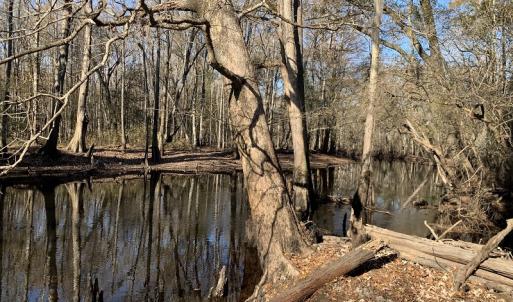 Photo #6 of Off Garland Highway, Garland, NC 278.0 acres