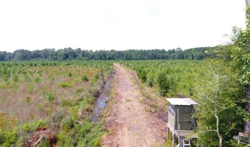 Photo #7 of Off Garland Highway, Garland, NC 278.0 acres