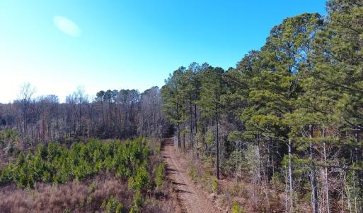 Photo #8 of Off Garland Highway, Garland, NC 278.0 acres