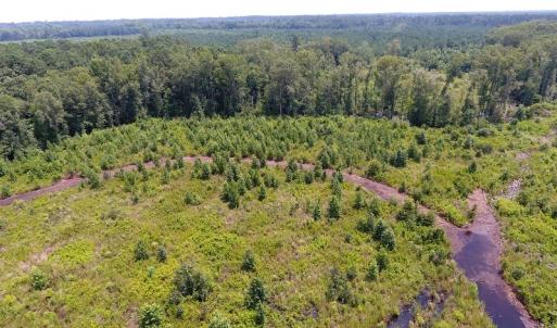 Photo #9 of Off Garland Highway, Garland, NC 278.0 acres