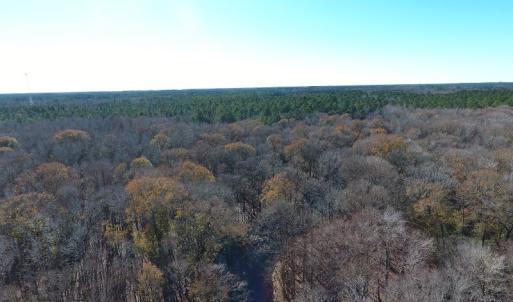 Photo #35 of Off Garland Highway, Garland, NC 278.0 acres
