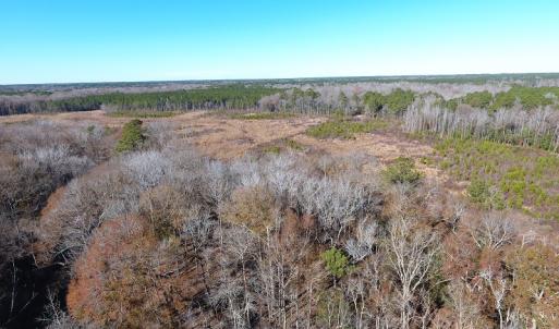 Photo #36 of Off Garland Highway, Garland, NC 278.0 acres